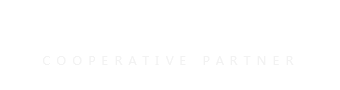 合作对象